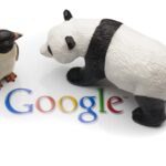 Google Panda and Penguin